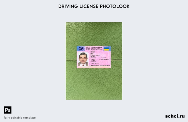 цифровая загрузка Украина водительские права подарок фотовид переднего шаблона 1